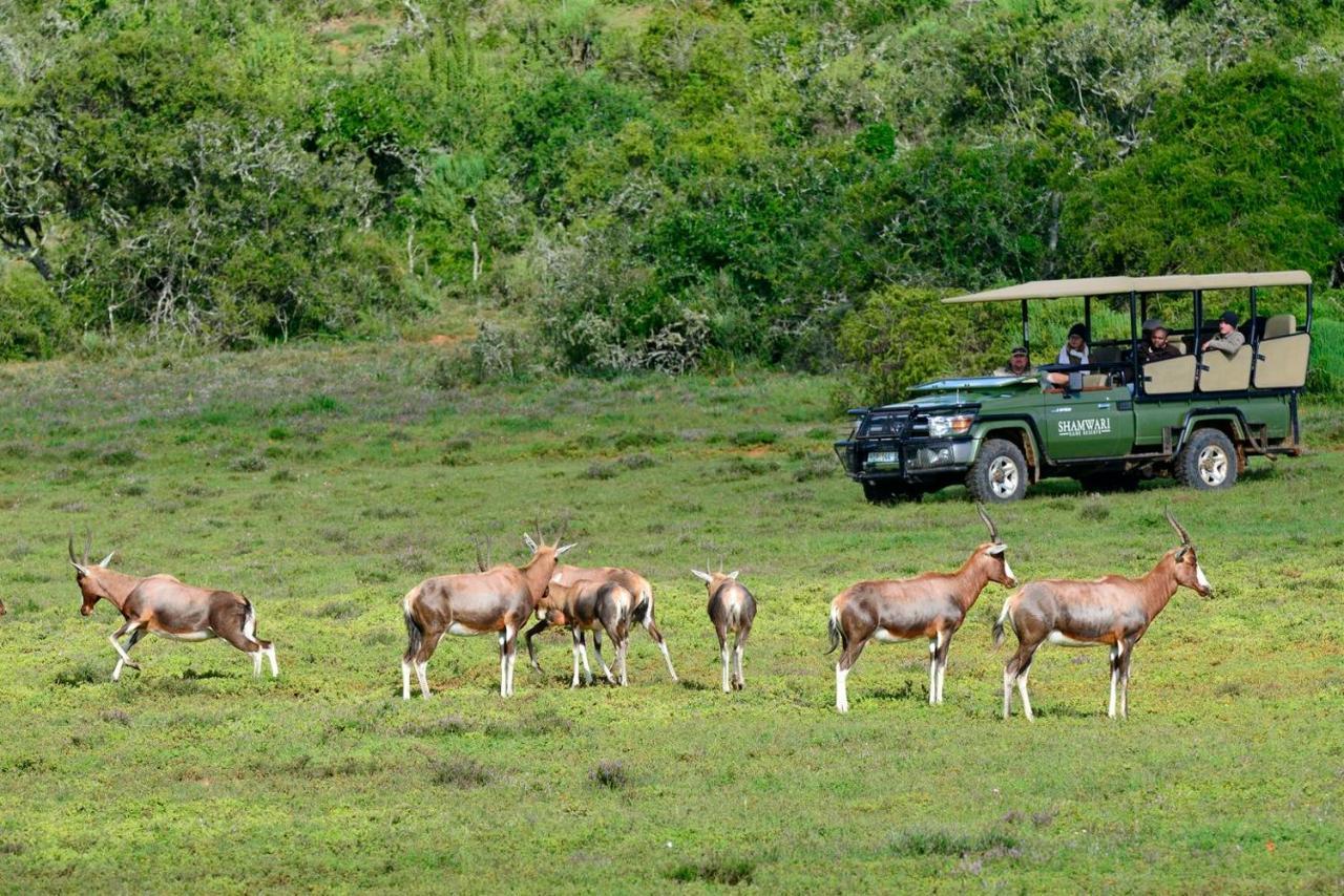 Shamwari Bayethe Villa Paterson Dış mekan fotoğraf